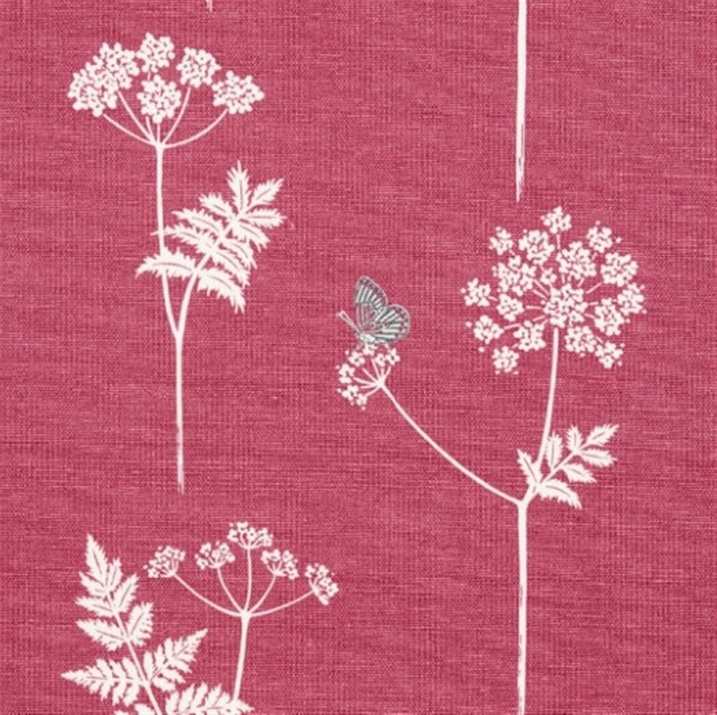Cow Parsley - Damson, Charcoal