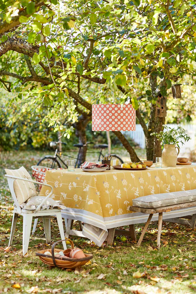 Orchard outdoors
