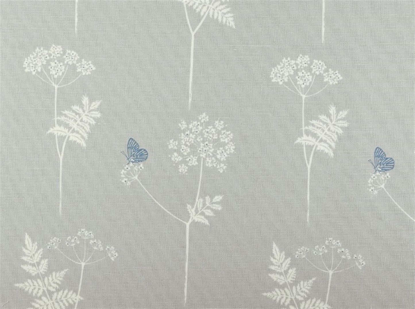 Cow Parsley - Clay, Cornflower