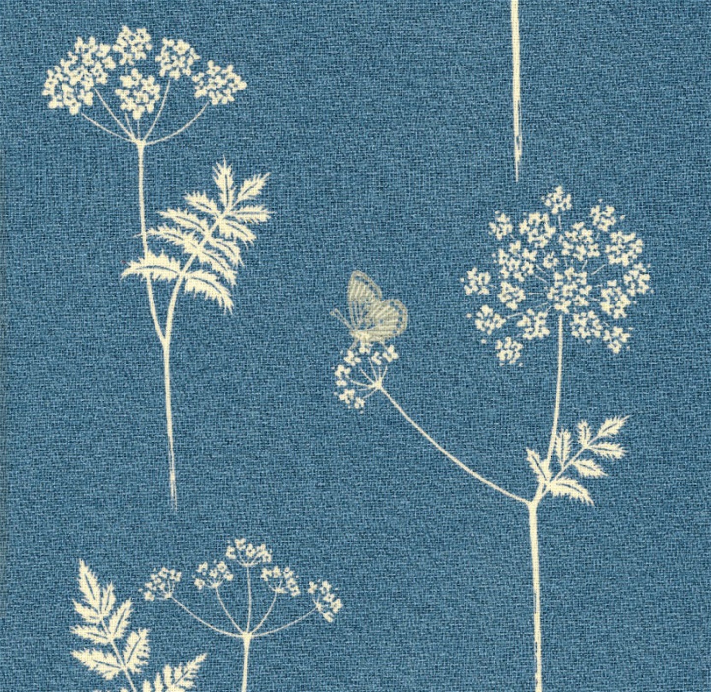 Cow Parsley - Cornflower, Duck Egg