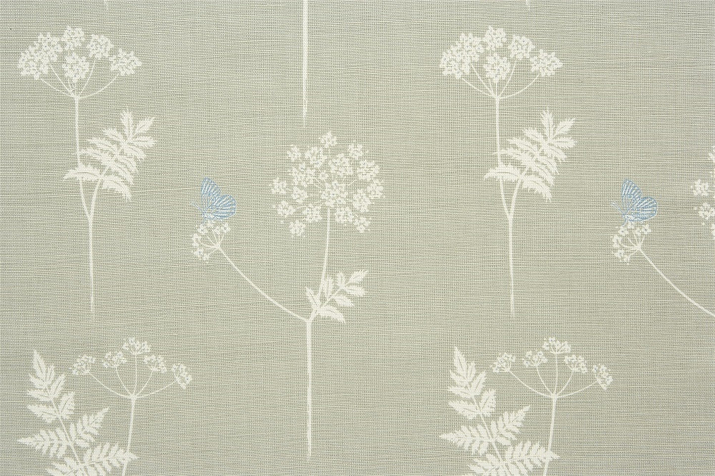 Cow Parsley - Pigeon, Teal
