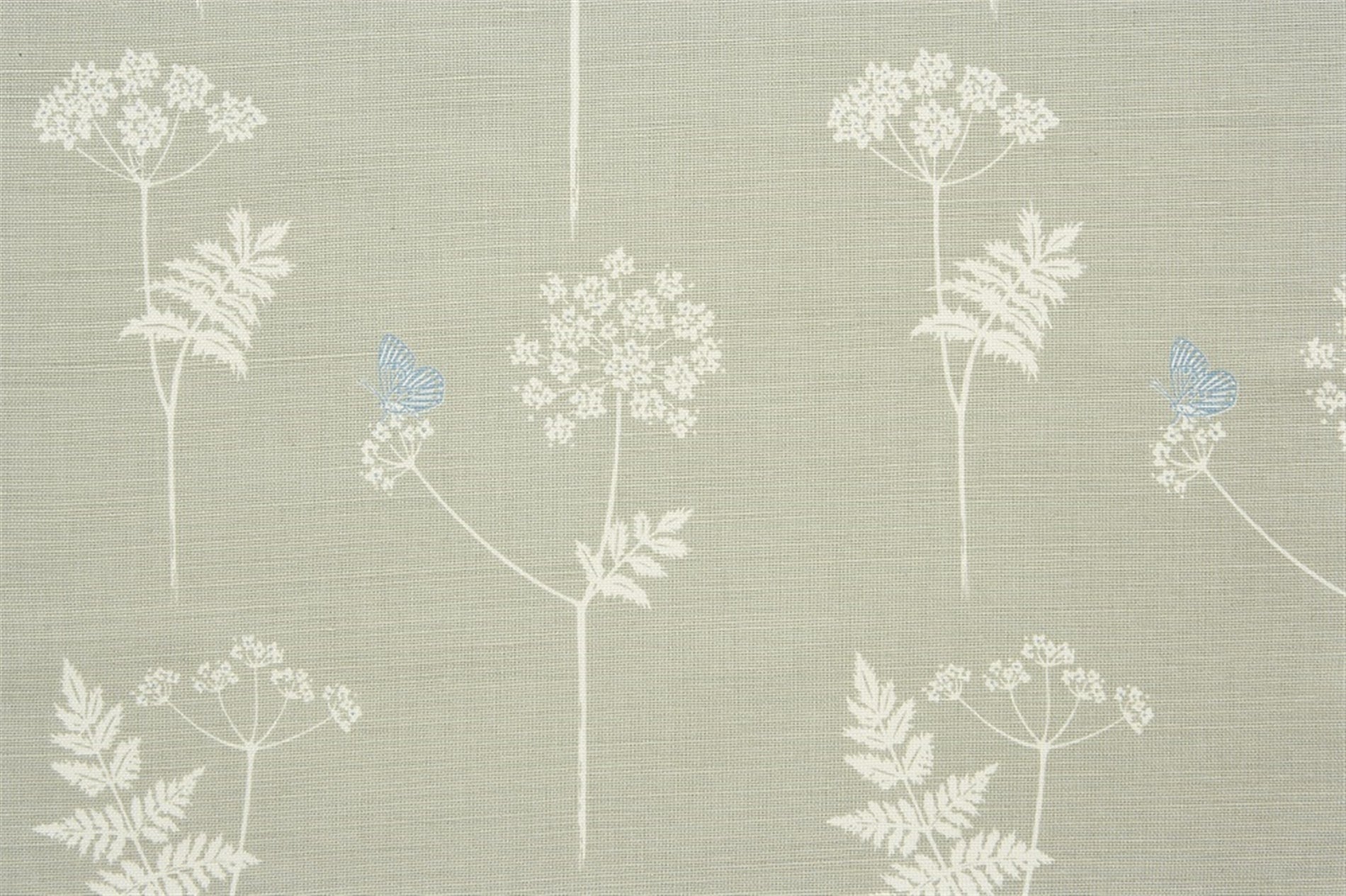 Cow Parsley - Pigeon, Teal