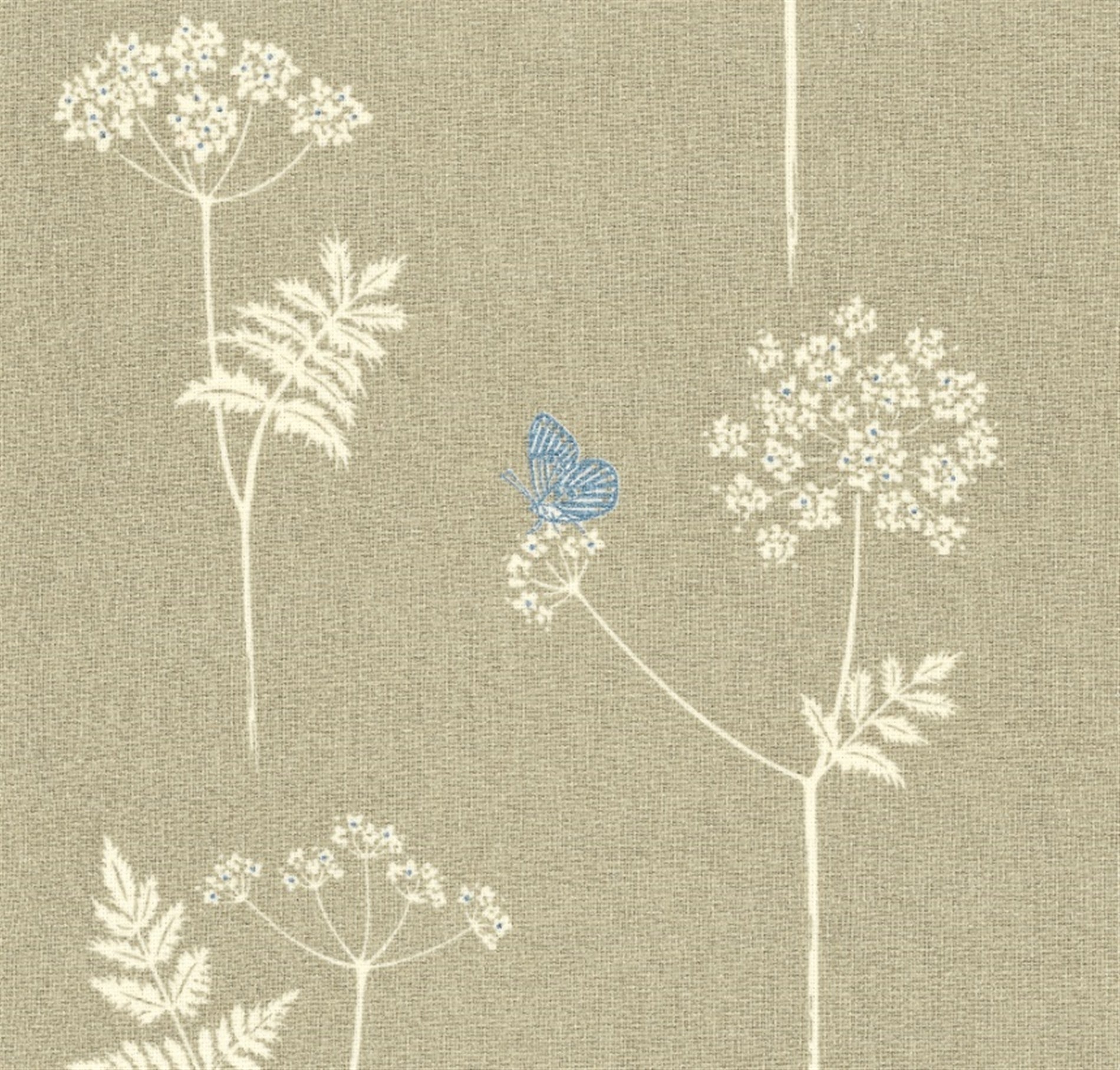 Cow Parsley - Stone, Cornflower