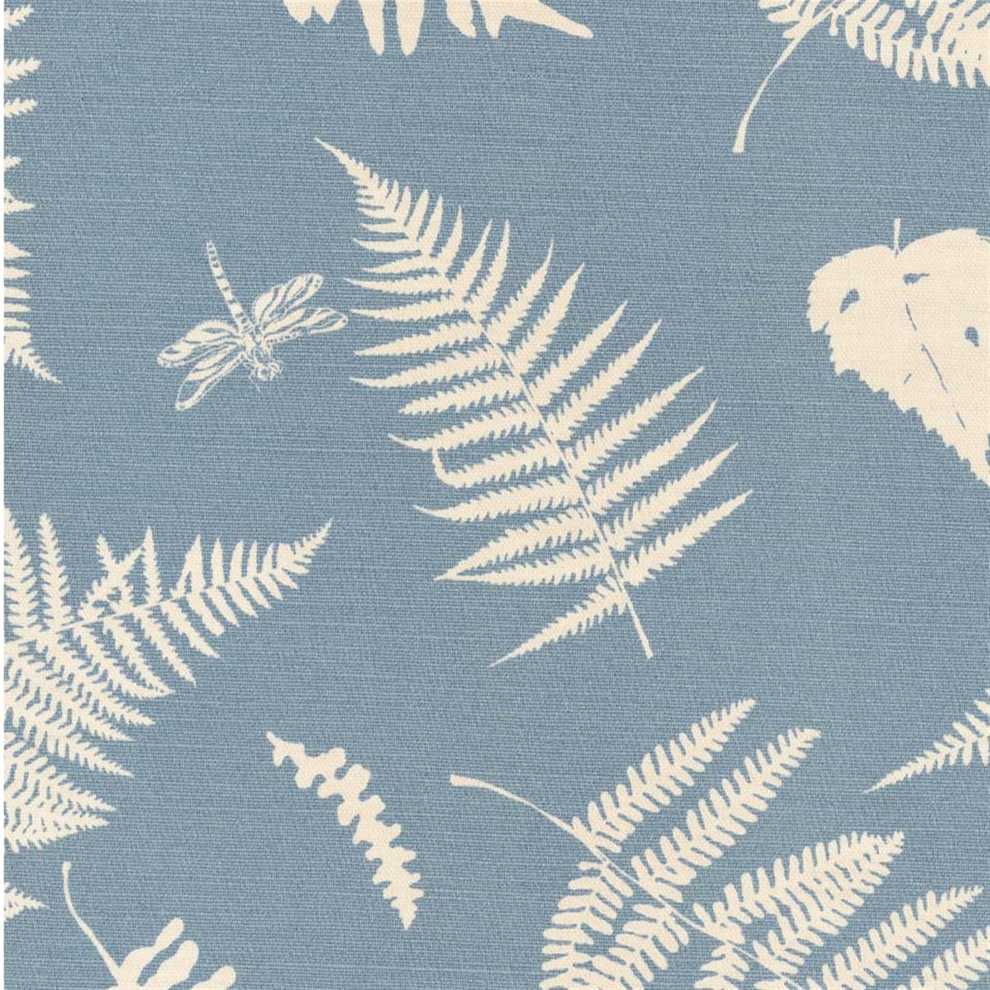 Fern and Dragonfly - Speedwell