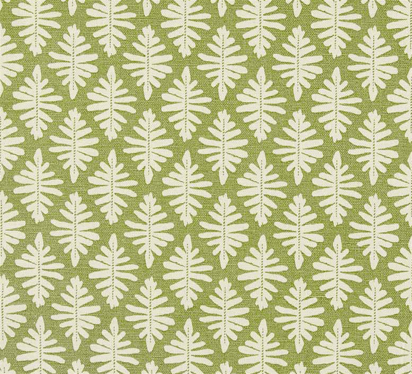 Little Fern - Moss