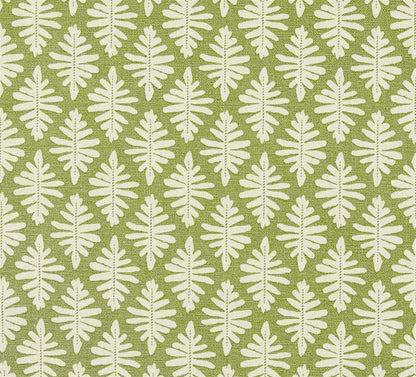 Little Fern - Moss