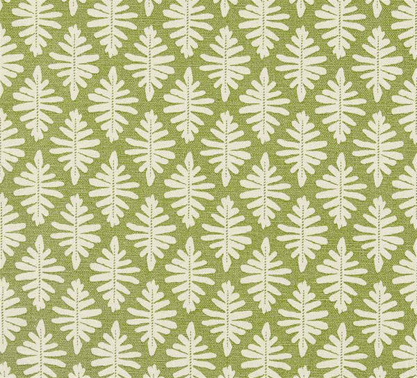 Little Fern - Moss