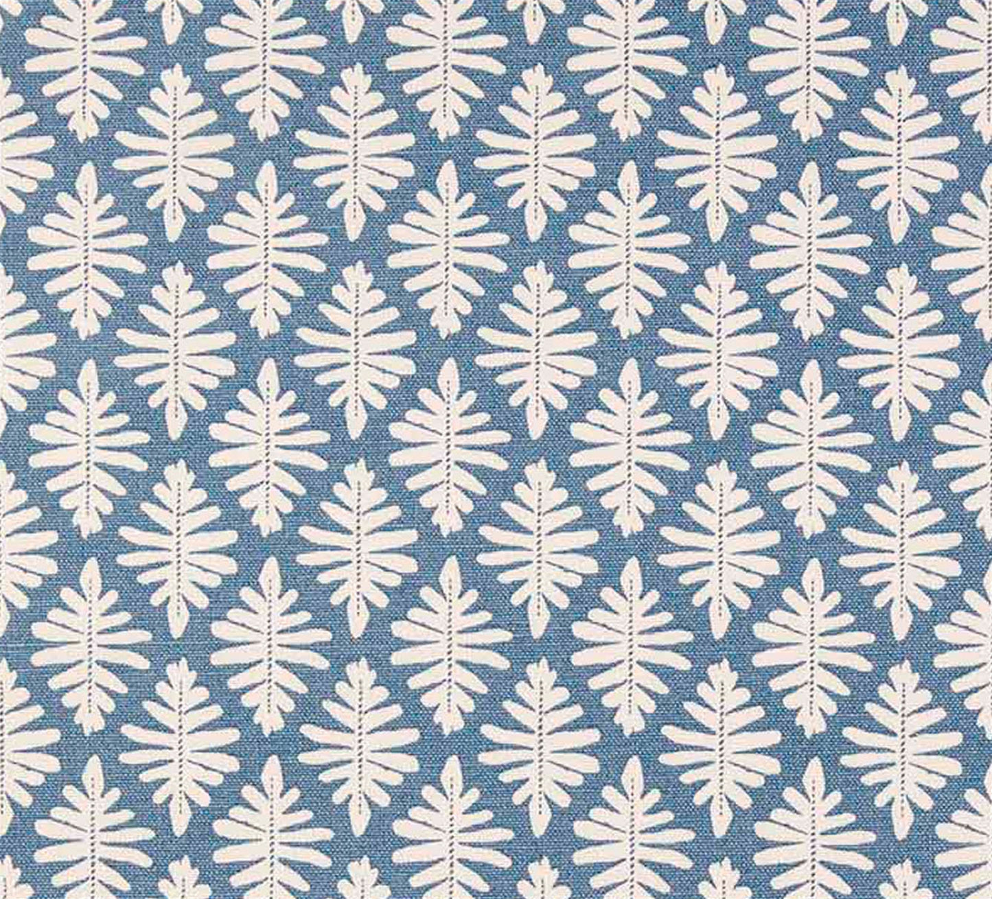 Little Fern - Cornflower
