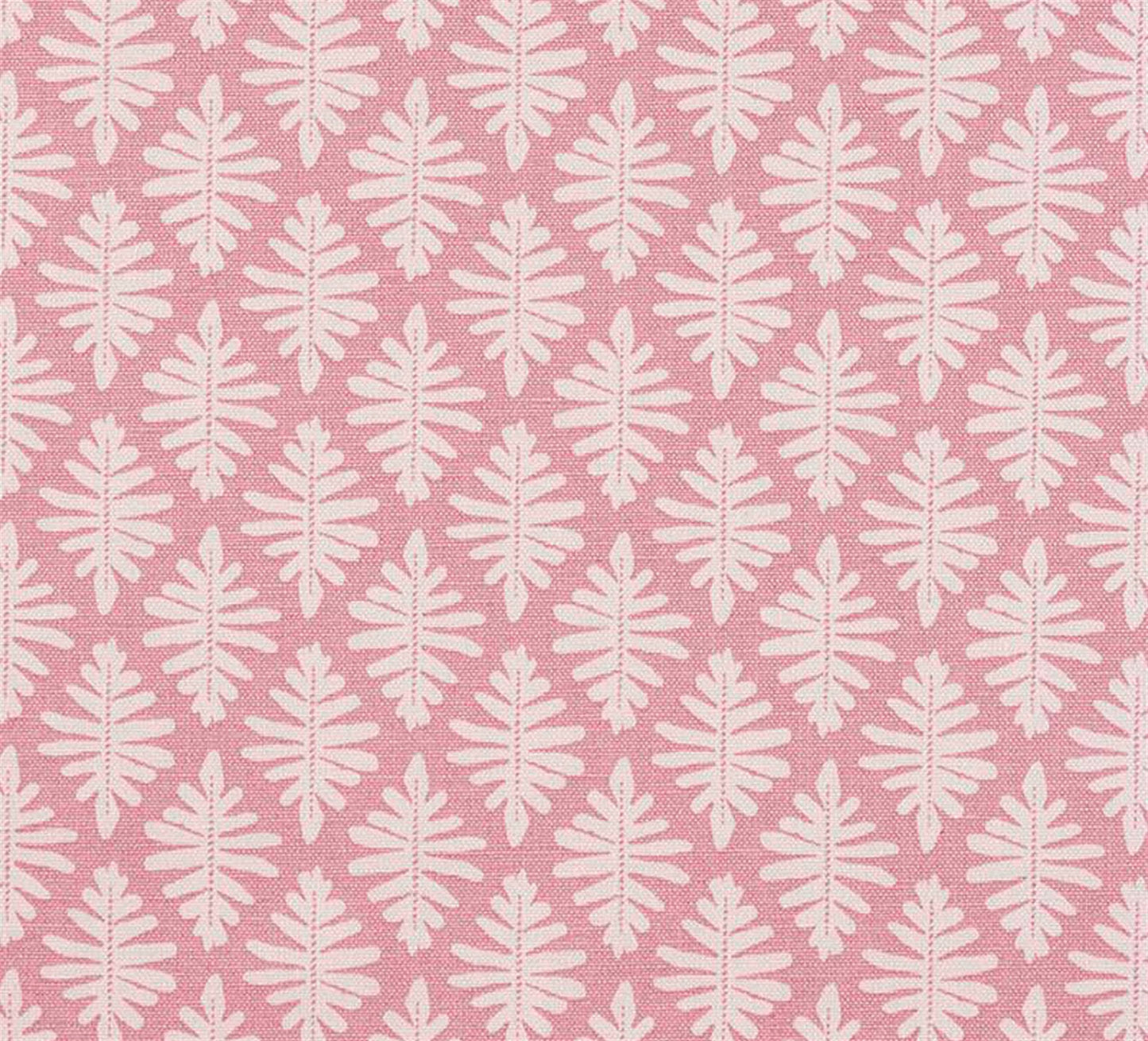 Little Fern - Lily Pink