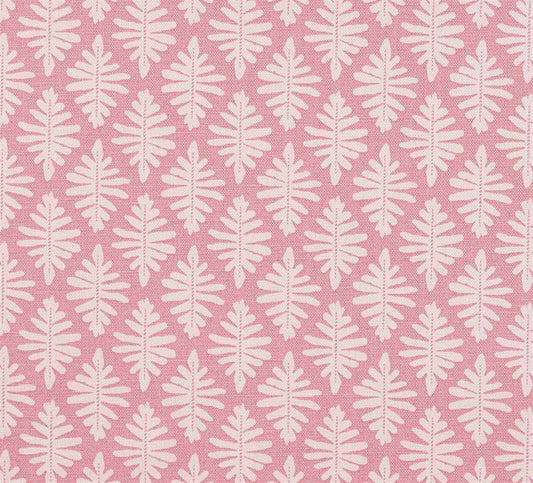 Little Fern - Lily Pink