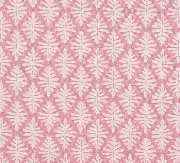 Little Fern - Lily Pink