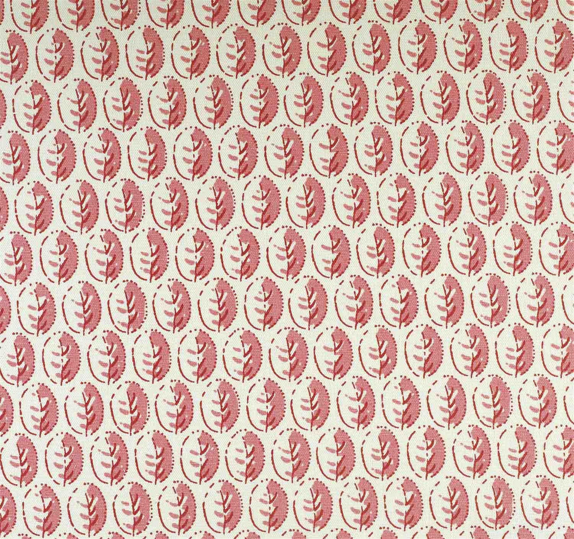 Little Leaf - Raspberry