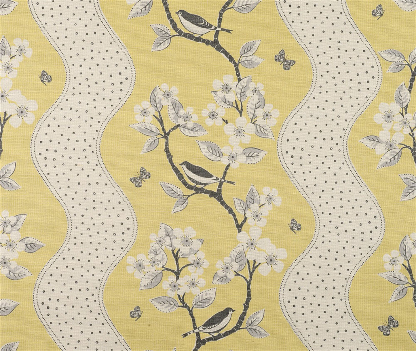 Song Birds - Buttercup, Clay, Charcoal
