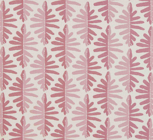 Wild Fern - Lily Pink