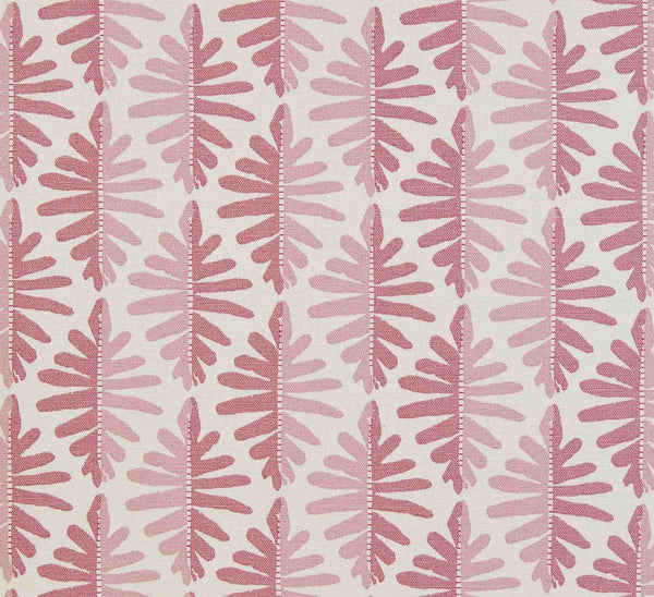 Wild Fern - Lily Pink