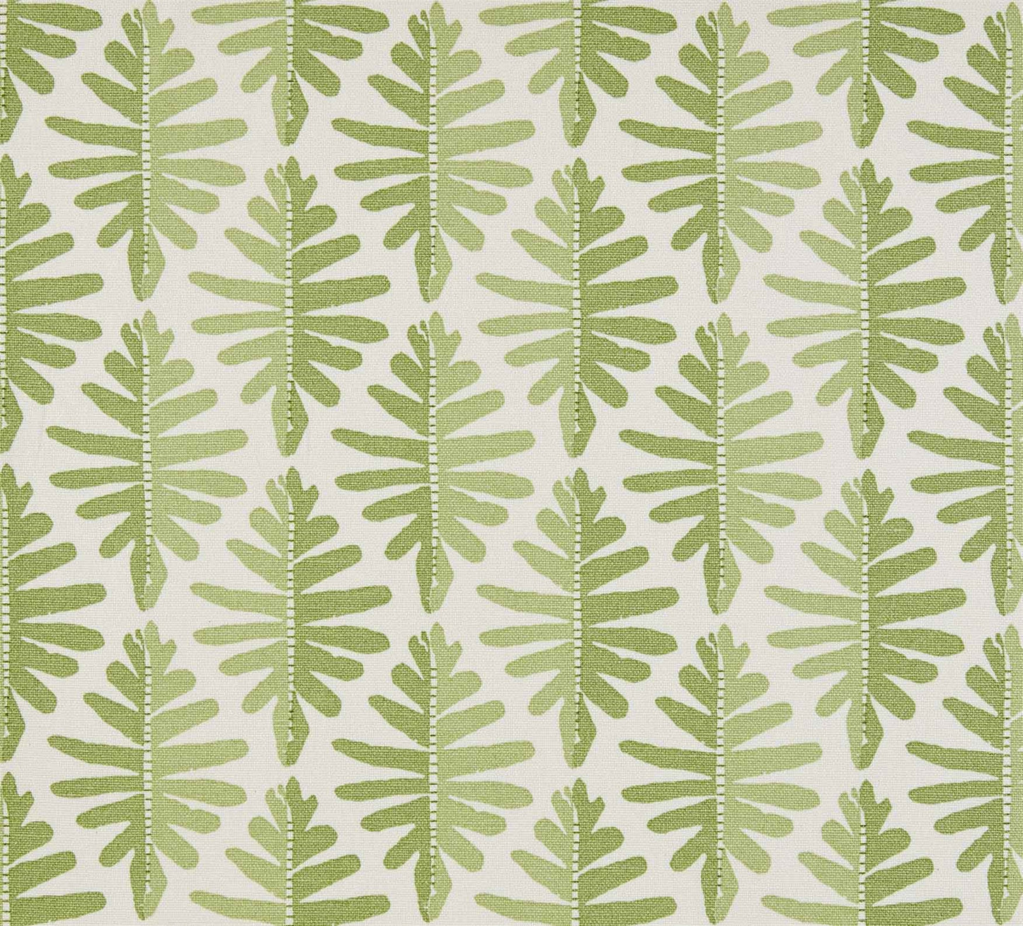 Wild Fern - Moss