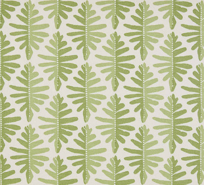 Wild Fern - Moss