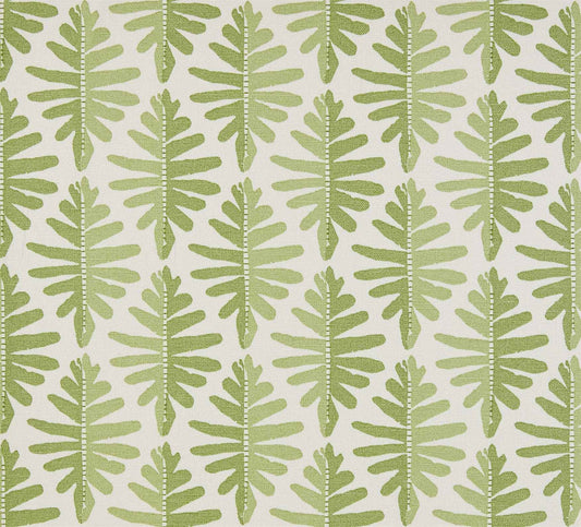 Wild Fern - Moss