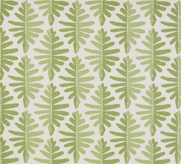 Wild Fern - Moss