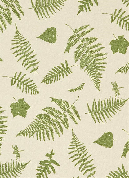 Woodland Walk - Moss