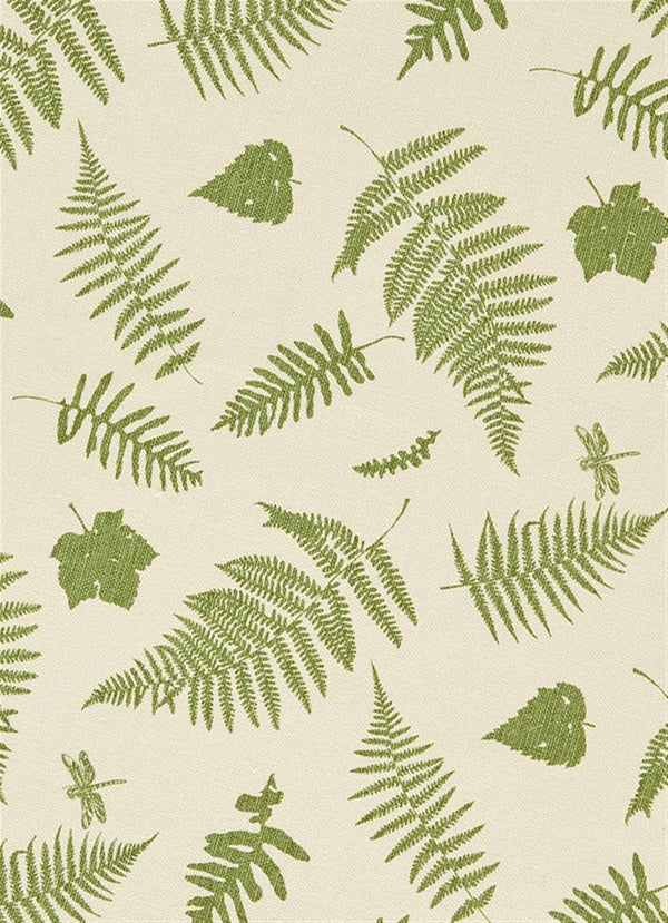 Woodland Walk - Moss